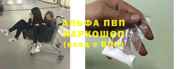 ГАЛЛЮЦИНОГЕННЫЕ ГРИБЫ Верея